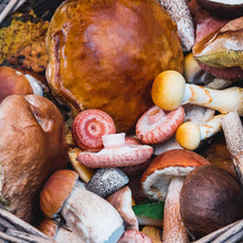 Load image into Gallery viewer, Rawesomely Adaptogenic Mushrooms x10